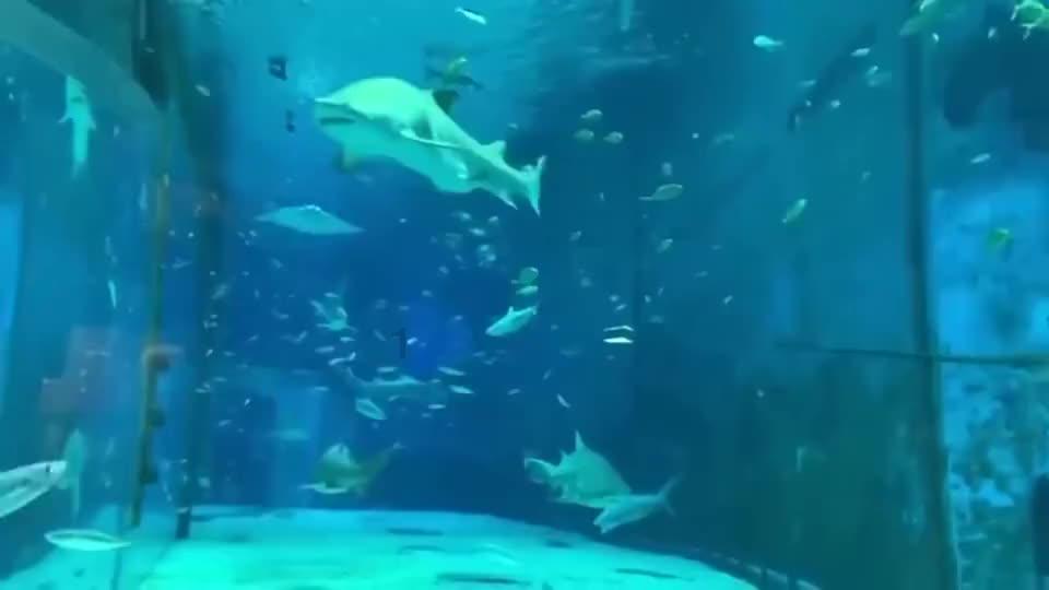 逃离宝船