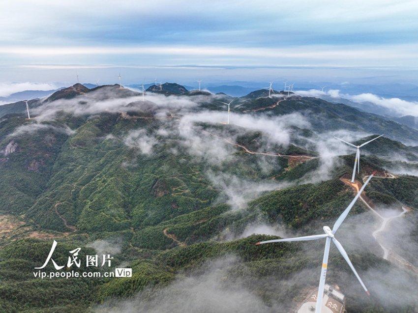 茂密丛林逃生