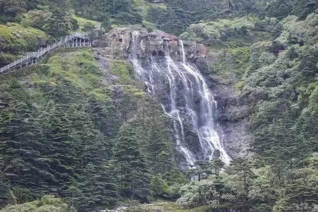 引球进框