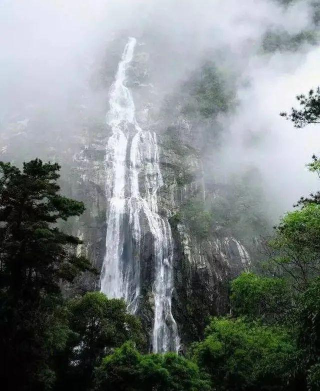小恐龙来找茬
