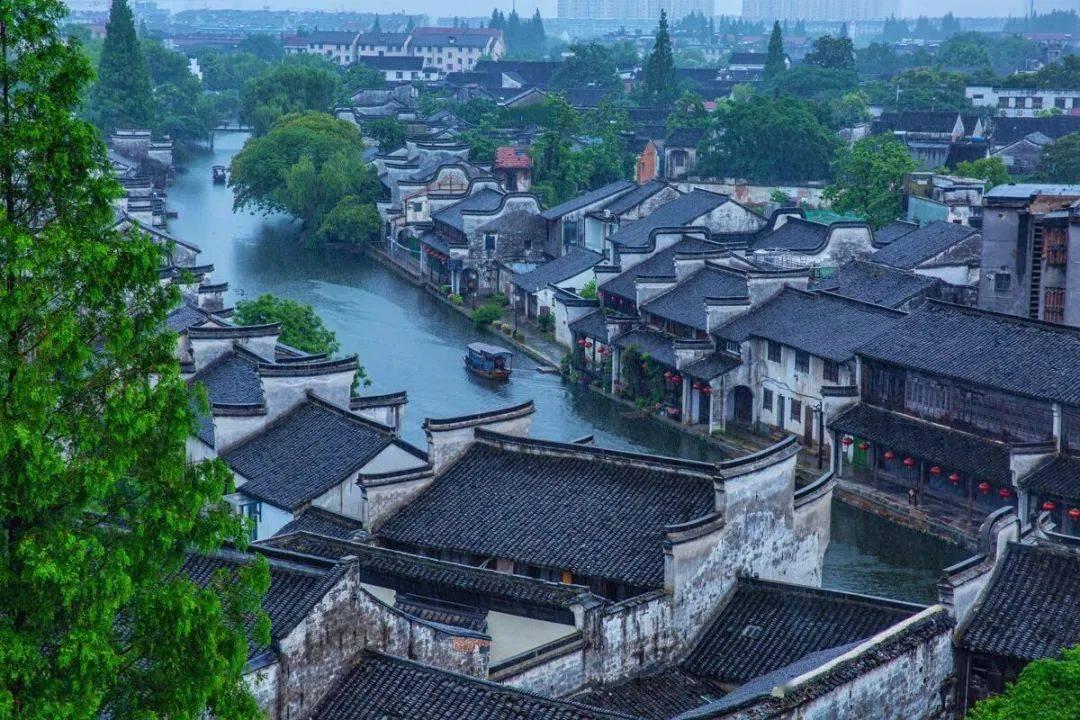 春雨直播app